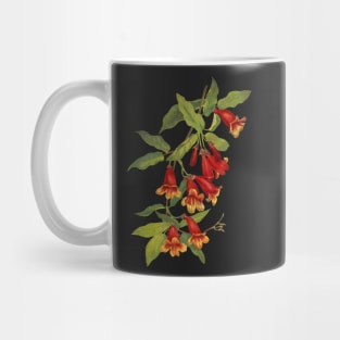 Crossvine - Bignonia capreolata - botanical illustration Mug